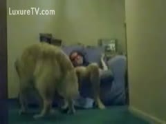 Cock hungry cougar lifts her costume for a memorable beastiality adventure with a K9
